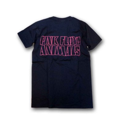 画像1: Pink Floyd バンドTシャツ ピンク・フロイド AWBDG