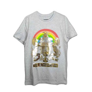 The Flaming Lips バンドTシャツ フレイミング・リップス Disco Skull