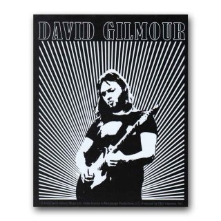 David Gilmour Tシャツ デヴィッド・ギルモア Rattle That Lock - バンドTシャツの通販ショップ『Tee-Merch!』
