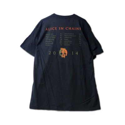 画像1: Alice In Chains バンドTシャツ アリス・イン・チェインズ Fetal 2014 Tour [Back Print]