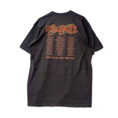 画像1: Aerosmith バンドTシャツ エアロスミス Route Of All Evil Tour 2006 [Back Print]